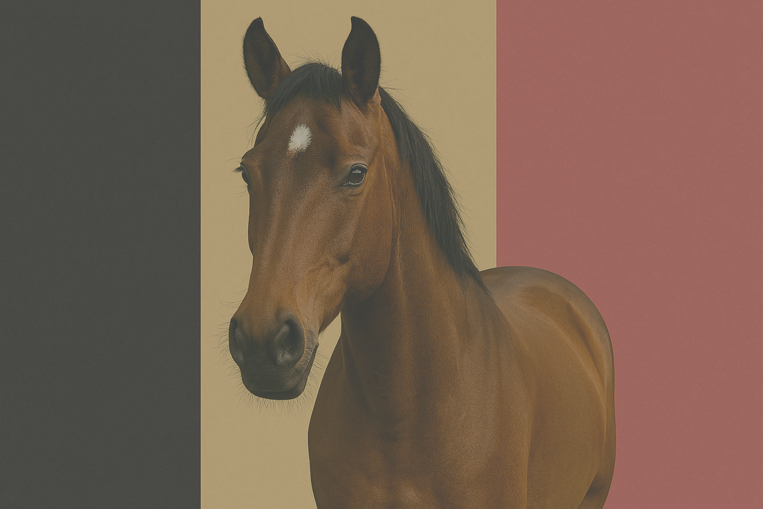 Garantie mortalité et vol pour cheval