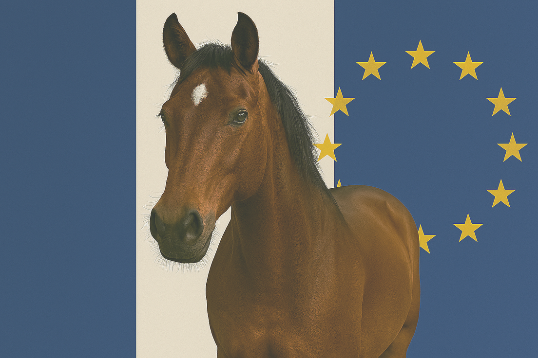 Valeur agréée du cheval